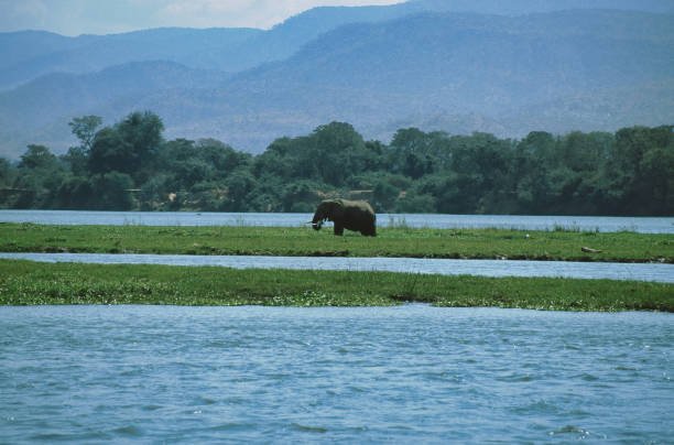 how to travel from harare to mana pools